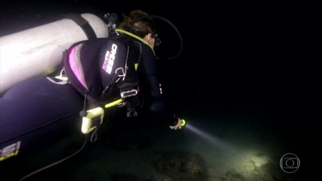 Sete Fatos Interessantes E Surpreendentes Sobre As Profundezas Do Oceano