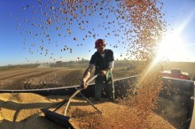 País terá redução de 6,3% na produção de grãos, diz Conab