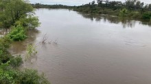 Cheia do Rio Uruguai mantém 484 pessoas fora de casa na Fronteira Oeste do RS