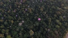 Só 1,8% dos imóveis rurais desmataram, diz ministro; Amazônia tem menor taxa desde 1988