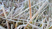 RS amanhece com 1,1°C em Soledade; o que esperar do tempo no estado nesta terça