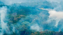 Governo envia 12 aeronaves contra queimadas no Pará; Abin apura ligação com desmatamento