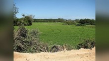 Preço pago ao produtor gaúcho sobe 7,54% em setembro, a maior alta desde 2022