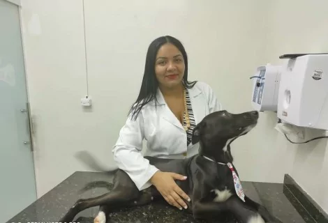 A médica veterinária Dayse Silve com o cão que reagiu bem à primeira sessão de quimioterapia (CRÉDITO: RICARDO RODRIGUES/ARQUIVO PESSOAL)
