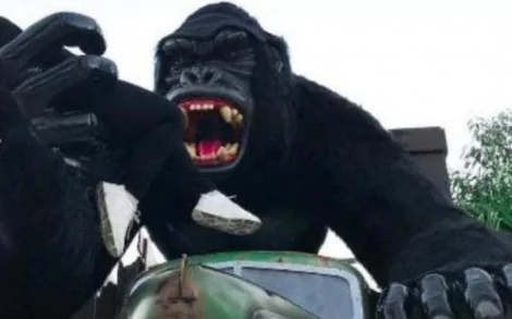 Estátua de gorila de onde o menino caiu no sábado, em foto não datada (CRÉDITO: REPRODUÇÃO/NSC)