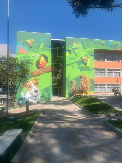 Instituto Hospitalar Veterinário da UCS em Caxias do Sul (CRÉDITO: REPRODUÇÃO)