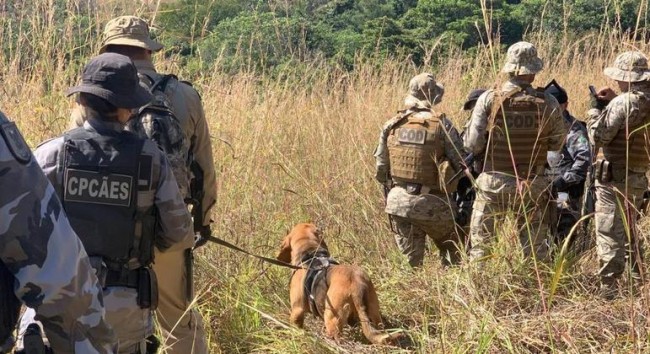 Força-tarefa conta com os melhores cães-farejadores do Brasil (CRÉDITO: DIVULGAÇÃO/CORPO DE BOMBEIROS GOIÁS)
