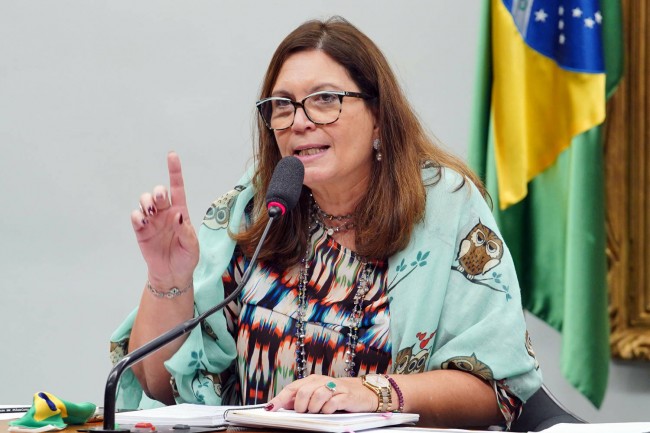 (CRÉDITO: WILL SHUTTER/CÂMARA DOS DEPUTADOS)