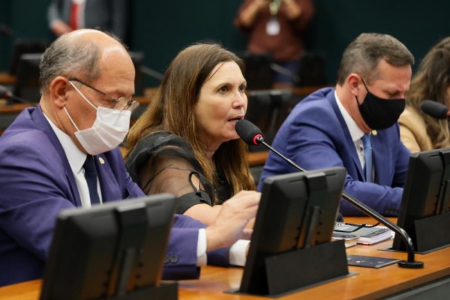 (CRÉDITO: NAJARA ARAÚJO/CÂMARA DOS DEPUTADOS)