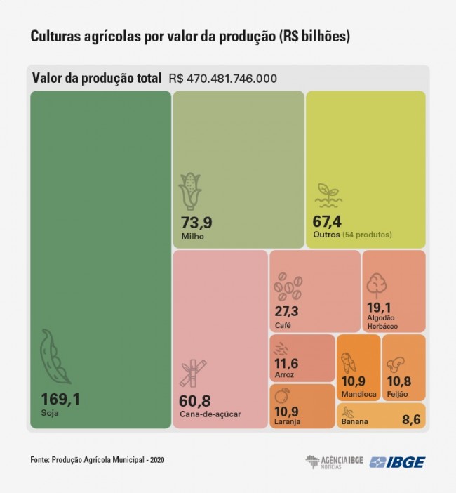 (CRÉDITO: DIVULGAÇÃO/IBGE)