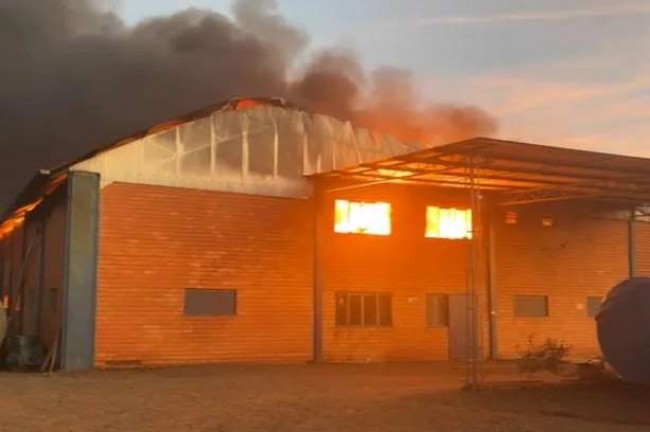 VÍDEO: Incêndio atinge ervateira em Machadinho e bombeiros tentam conter o avanço das chamas