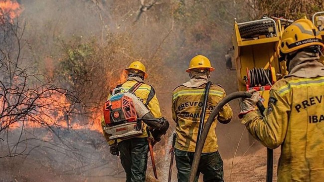 Focos de incêndio mais que dobram no Amazonas em 2026, mas ficam abaixo da média