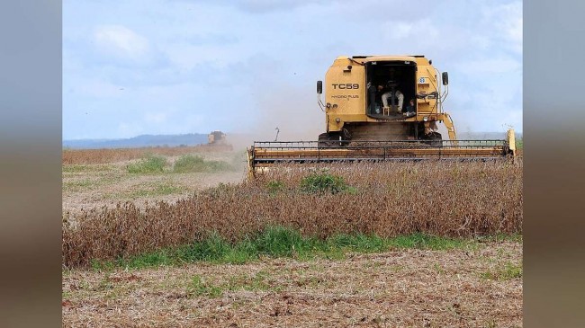IBGE prevê safra recorde de 354,5 milhões de toneladas de grãos em 2026
