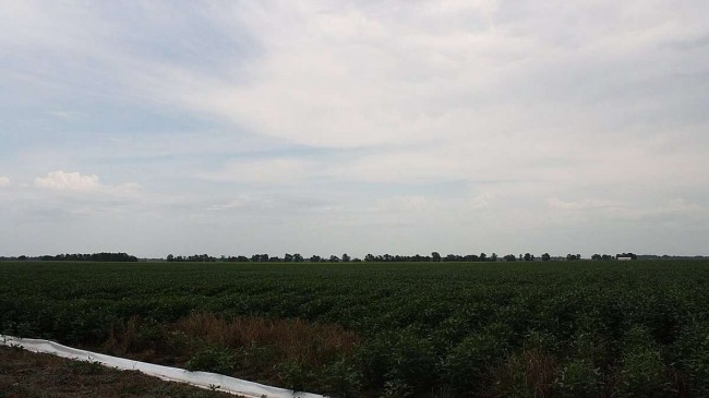 Serasa Experian vê o RS na contramão do El Niño na safra de soja